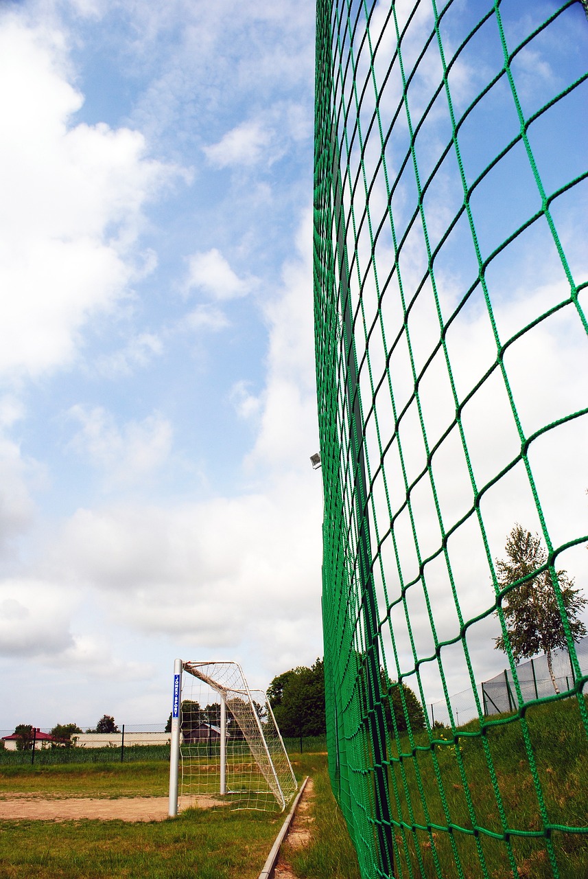 从比赛开始 从比赛开始