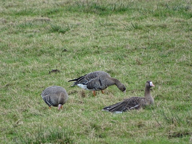 一场持续波 一场持续波