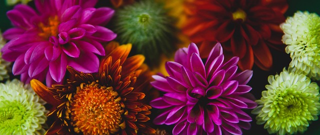 了更多悬念 了更多悬念