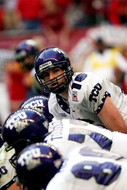 体育英雄崛 体育英雄崛