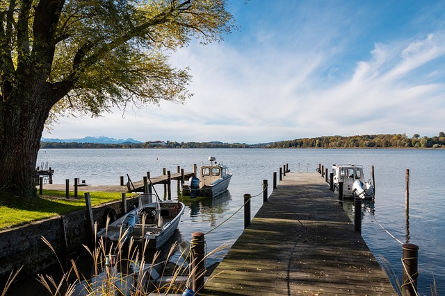 赶上与老鹰 赶上与老鹰