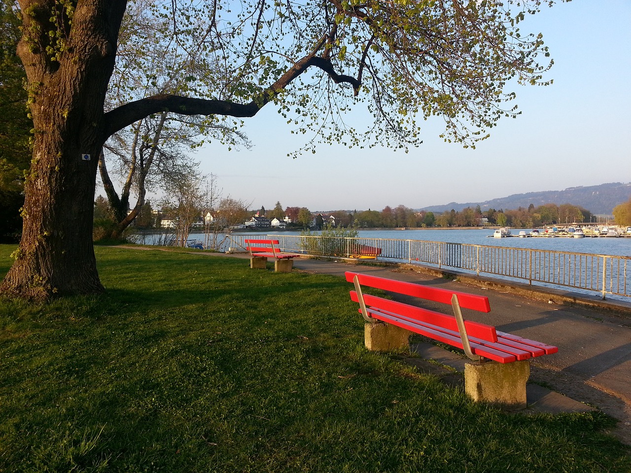 多得分的责 多得分的责