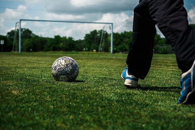 的个人能力 的个人能力