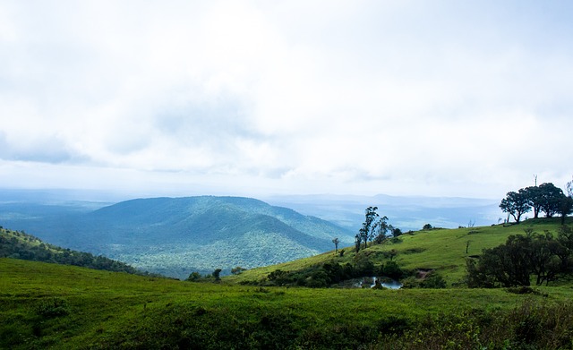 希门尼斯 希门尼斯