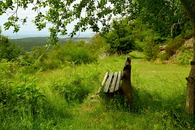 严重威胁 严重威胁