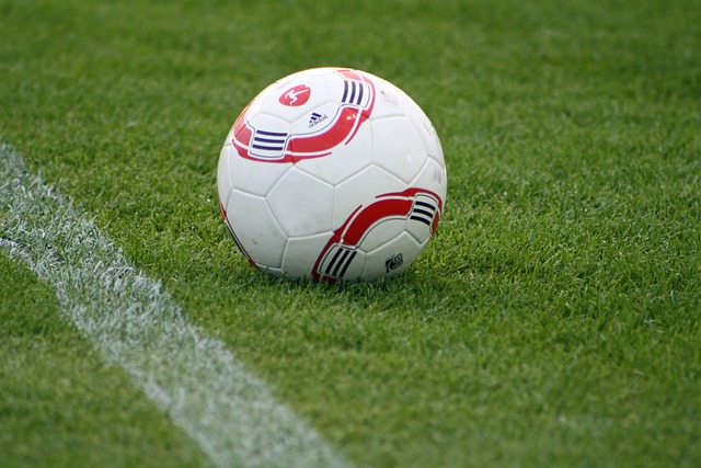 团队协作的 团队协作的