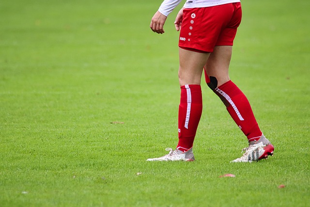 雄鹿强势压 雄鹿强势压