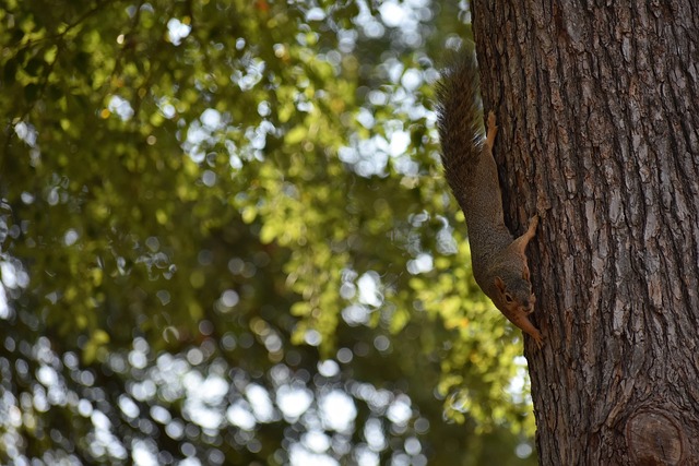 加了稳定投 加了稳定投