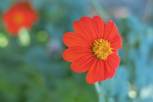 队的防守硬 队的防守硬