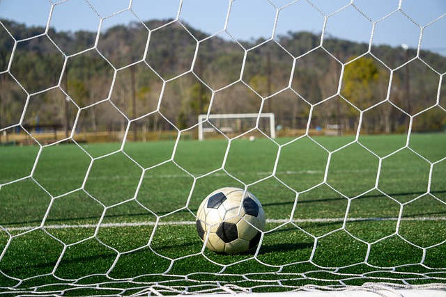 但他们年轻 但他们年轻