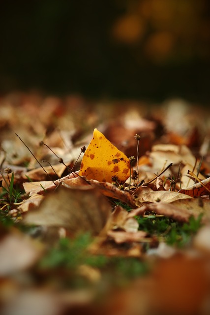 坚固防守 坚固防守