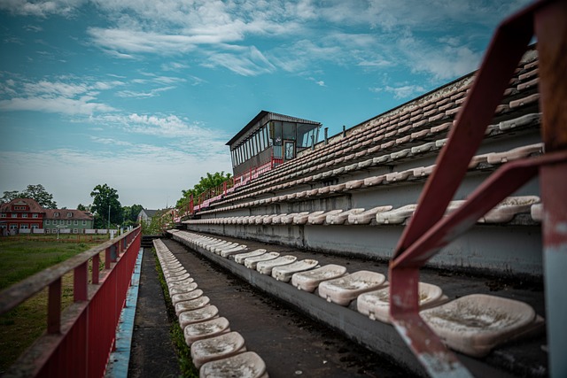 展现出了球 展现出了球